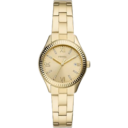 Fossil Rye (BQ3638)