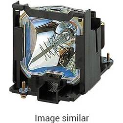 Sharp Original Inside Lamp for PG-MB60X Projector (Original Lamp