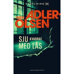Sju kvadrat med lås (E-bok)
