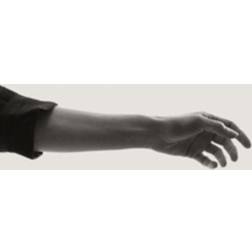 Limbs (CD)