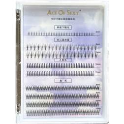 False Eyelashes