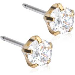 Blomdahl Tiffany Precious Earrings - Gold/Transparent