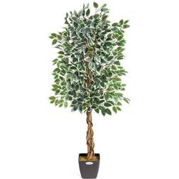 Christow Variegated Ficus Tree Pre Potted Artificial Plant