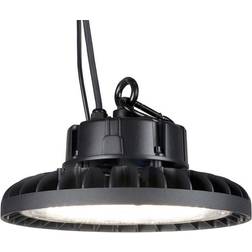 Highlite Black Spotlight