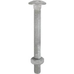Timco Carriage Bolts DIN603 & Hex Nuts Hot Dipped 10pcs