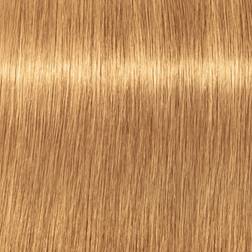 Schwarzkopf Professional Igora Vibrance Kit 9.5-5 Gold Toner 60ml