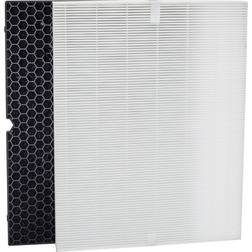 Winix Replacement Filter H for 5500-2