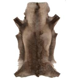 Reindeer Skin Brun 65x110cm