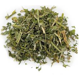 Aumuller Frische Katzenminze