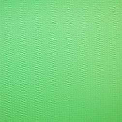 Savage Vinyl Chroma Green Backdrop 3.04m x 3.04m