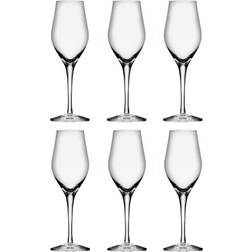 Orrefors Sense Champagne Glass 25.5cl 6pcs