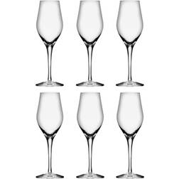 Orrefors Sense Champagneglas 25.5cl 6stk
