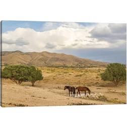 Natur Pur USA, Utah, Tooele County. Wild Horses Drinking From Waterhole Multicolour Framed Art 30.5x20.3cm