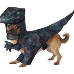 California Costumes Pupasaurus Rex Pet Costume for Dogs