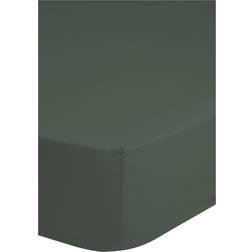 HIP Satin Bed Sheet Green (200x160cm)