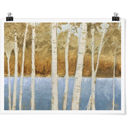 Birch Trees On The Lakeshore Multicolour Poster 40x30cm