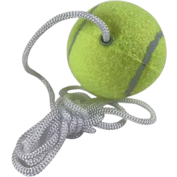 Amo Pole Tennis Ball