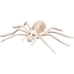 Boland Squelette D'araignée 23 x14cm