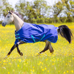 Shires Navy, 6'6 Tempest Original Turnout Rug