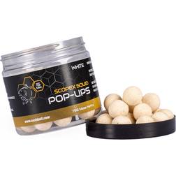 Nash Scopex Squid Pop Ups 20mm 75g White