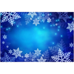 SSSincere Winter Blue Photography Background