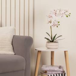 Scottish Everlastings White Speckled Orchid Artificial Plant