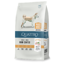 Quattro Maxi Adult