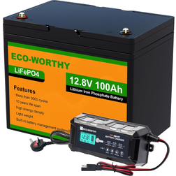 Eco-Worthy LiFePO4 12.8V 100AH 10A