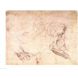 BrainBoosters Studies of Hands and an Arm Brown Poster 61x45.7cm