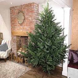 Samuel Alexander Glenshee Spruce Green Christmas Tree 240cm