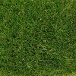 B&Q Boundary 30mm Pet Friendly Artificial Grass