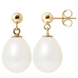 General Pearl Cultured Earrings - Gold/Pearl