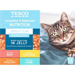 Tesco Adult Cat Food Mixed In Jelly 12X100g 1.2kg
