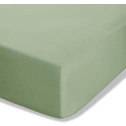 Catherine Lansfield Easy Iron Bed Sheet Green (200x185cm)