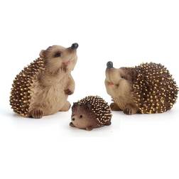 Hedgehog with Three Different Images