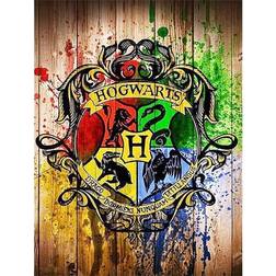 Harry Potter DIY 5D Diamond Painting