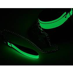 Dream Toys Radiant Collar & Leash Glow the Dark