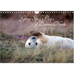 Calvendo Gray Seal Pups Of Donna Nook Wall Calendar 2025 A4