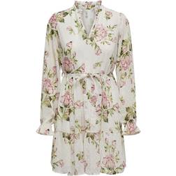 Only Rosey Dress - White