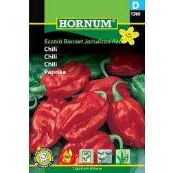 Hornum Scotch Bonnet Jamaican Red Chili Seeds