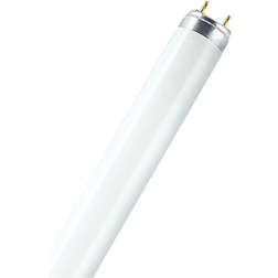 Osram Lumilux T8 Fluorescent Lamps 36W G13