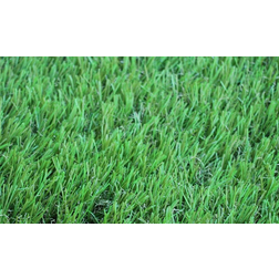 WarmShe Artificial Grass 12ftx29ft