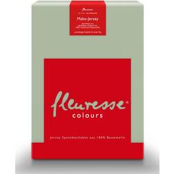 Fleuresse Jersey Bed Sheet Green (200x200cm)