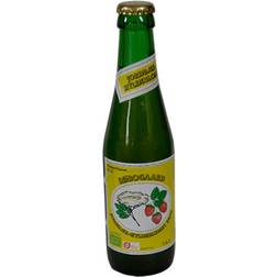 Søbogaard Jordgubb Fläderblomsdryck 25cl