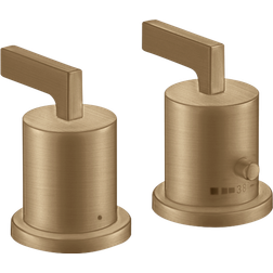 Axor Citterio (39482140) Bronce