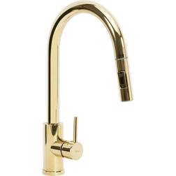 REA Fresh (REA-B0669) Guld
