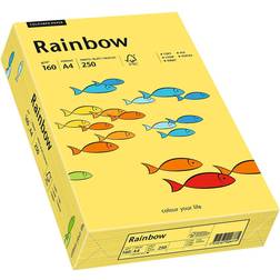 Rainbow A4 Office Copy Paper 160g/m² 250st