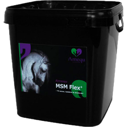 Dangro Amequ MSM Flex+ 2kg