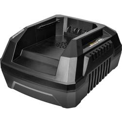 Texas Standard Charger 1-pack