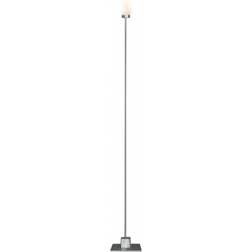 Northern Snowball D8 Golvlampa